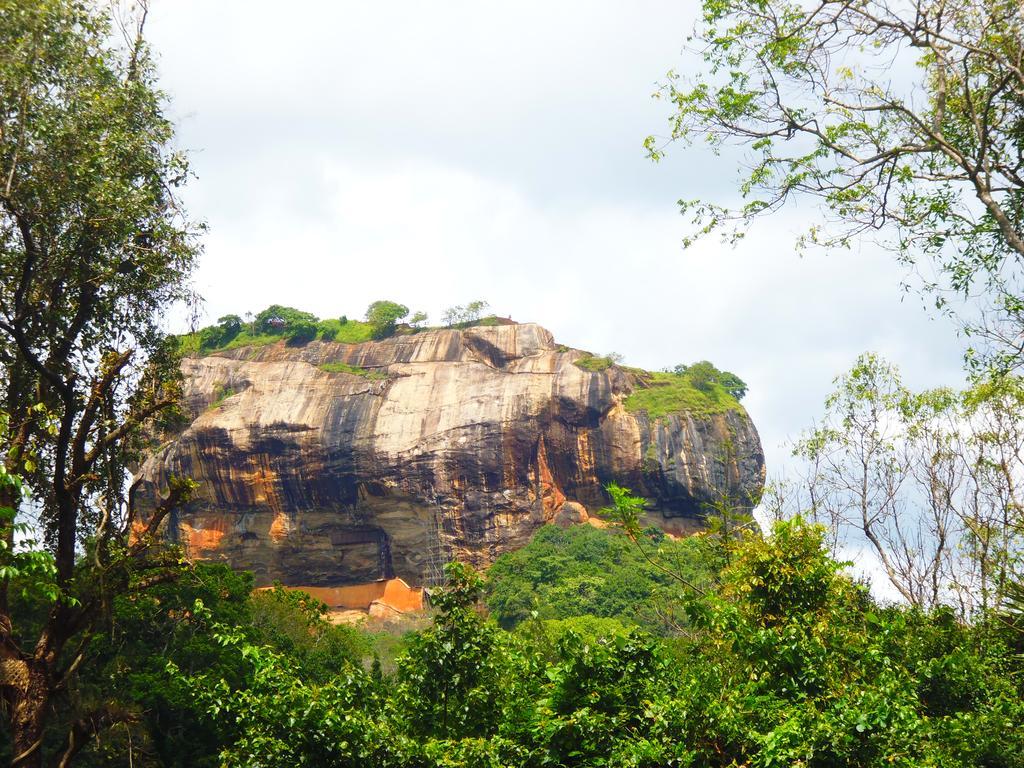 The Nilmini Lodge Sigiriya Bagian luar foto