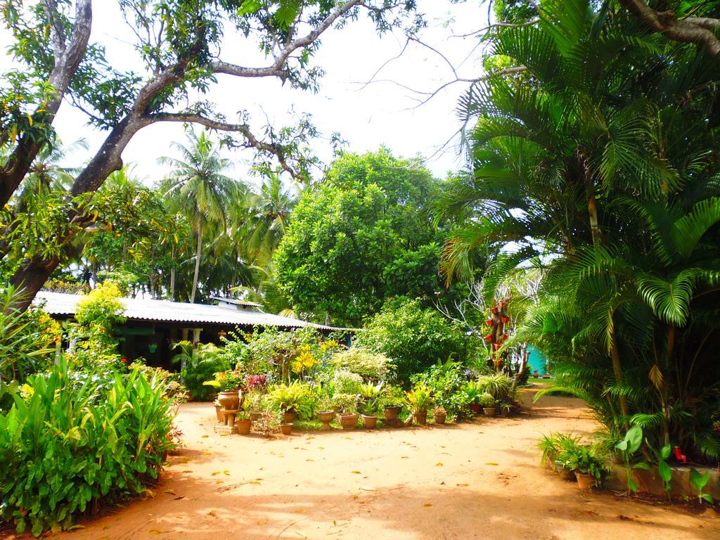 The Nilmini Lodge Sigiriya Bagian luar foto